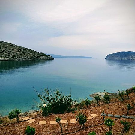 Tholos Alexandra'S Beachfront House Kavoúsion 외부 사진