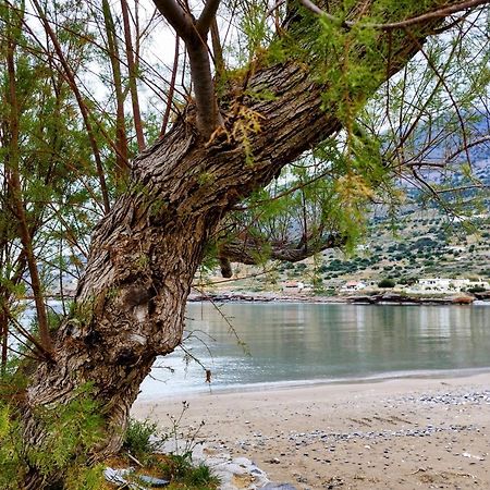 Tholos Alexandra'S Beachfront House Kavoúsion 외부 사진