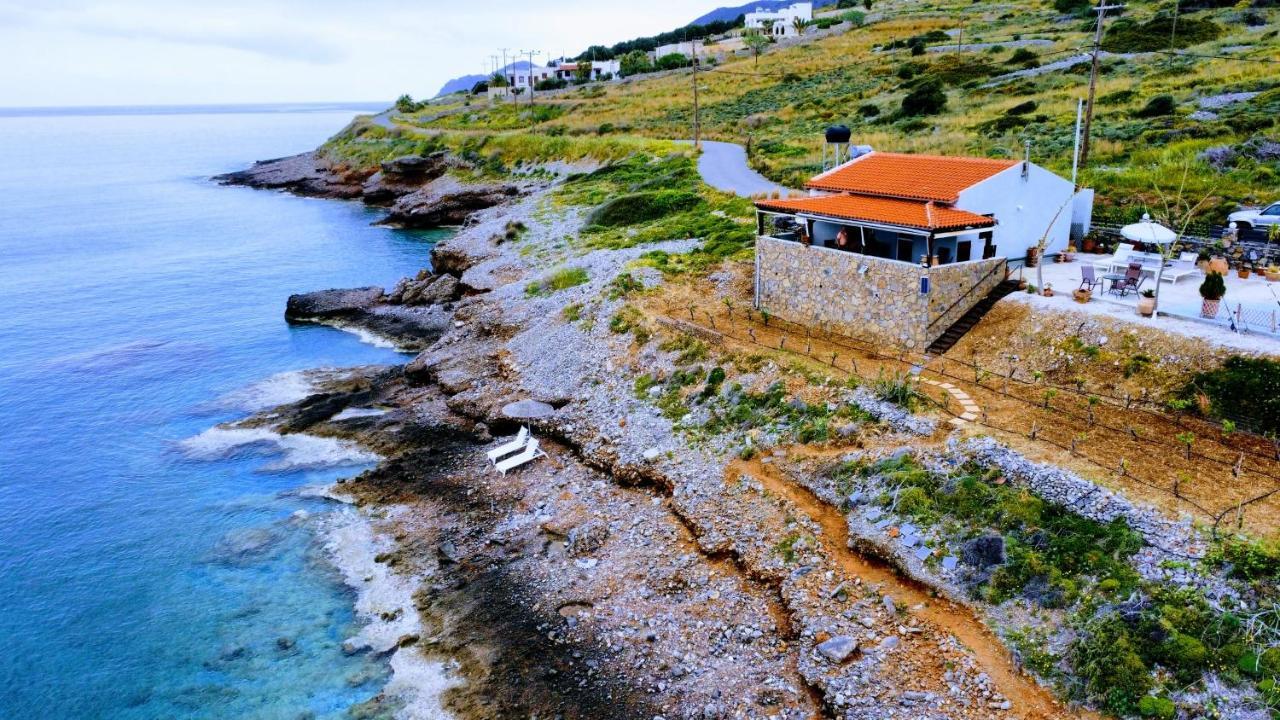 Tholos Alexandra'S Beachfront House Kavoúsion 외부 사진
